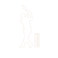 Box Cricket